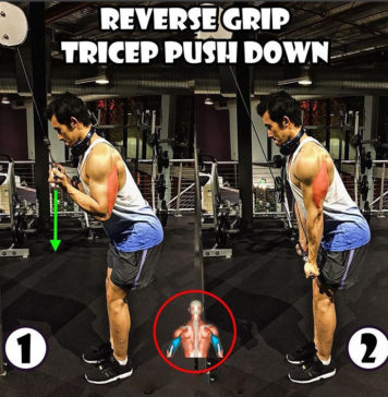 How to Reverse Grip Tricep Pushdown | Guide How to Reverse Grip Tricep Pushdown