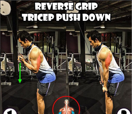 How to Reverse Grip Tricep Pushdown | Guide How to Reverse Grip Tricep Pushdown