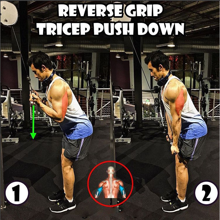How to Reverse Grip Tricep Pushdown