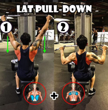 LAT PULL-DOWN | Guide & Video - weighteasyloss.com