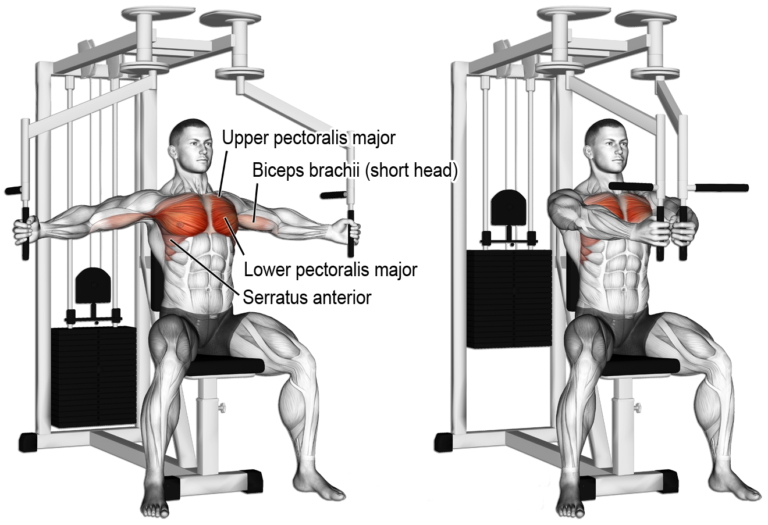Chest Fly Machine Form Guide vs Video