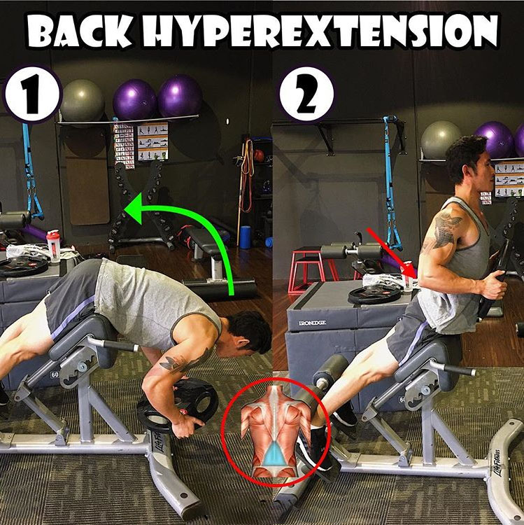 Back Hyperextension