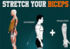 Stretch your biceps