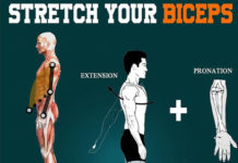 Stretch your biceps | Guide Stretch your biceps