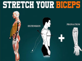 Stretch your biceps