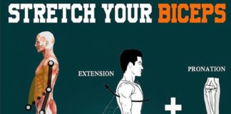 Stretch your biceps | Guide Stretch your biceps