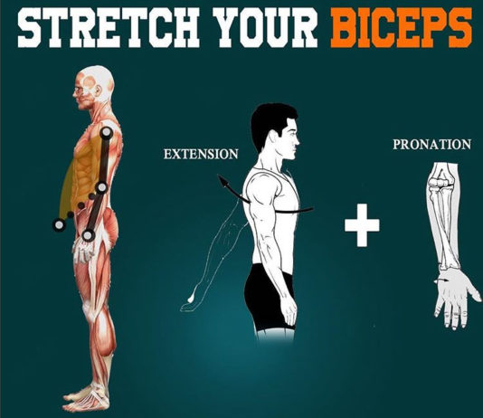 Stretch your biceps