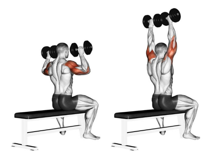 HOW TO DUMBBELL SHOULDER PRESS| Wrong & Right | Video