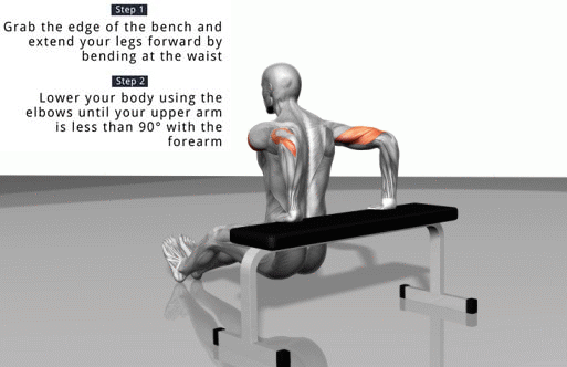 How to Do Reverse Dips exercises
