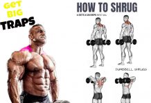 dumbbell shrugs exercises