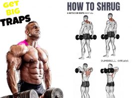dumbbell shrugs exercises