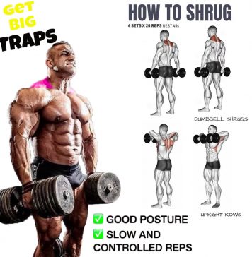 How to Do Dumbbell Shrug Proper Form, Technique | Video & Guide dumbbell shrugs exercises