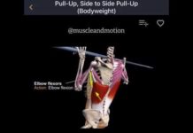 HOW TO PULL UPS | Side to Side | Guide & Video