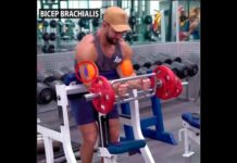 HOW TO PREACHER HAMMER CURL | Video