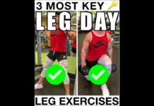 3 Key Exercises For Leg Day