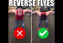 Reverse Flyes | Video & Guide
