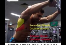 HOW TO SERRATUS PULL DOWN | Video & Guide