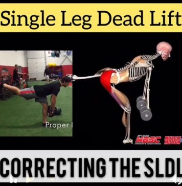 Correcting The Single Leg Dead Lift (SLDL) | Video & Guide