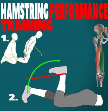 HAMSTRING PERFORMANCE TRAINING | GUIDE