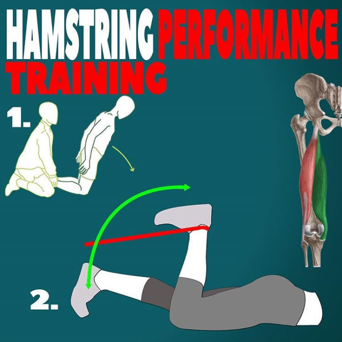 HAMSTRING PERFORMANCE TRAINING | GUIDE