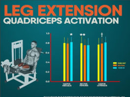🚨LEG EXTENSION QUADRICEPS ACTIVATION | GUIDE