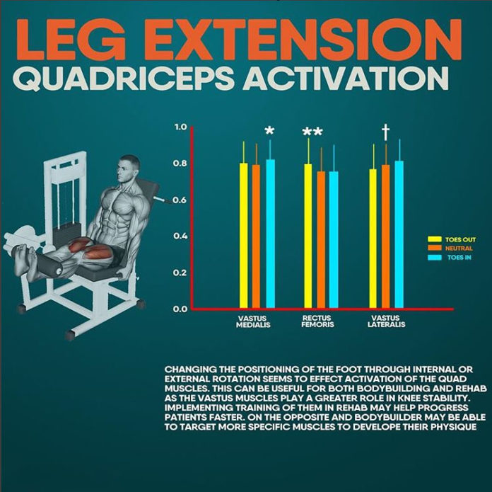 LEG EXTENSION QUADRICEPS ACTIVATION GUIDE