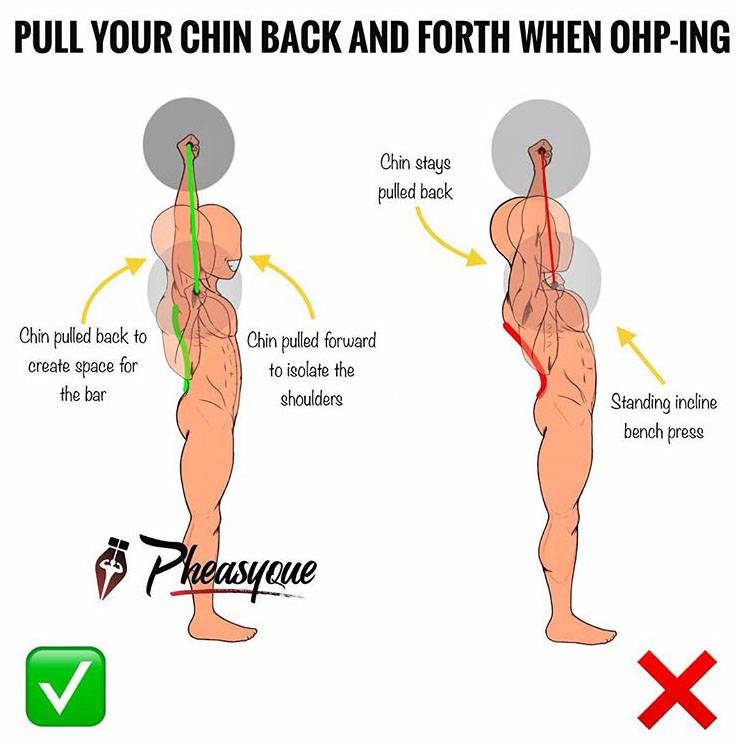 ✅YOUR CHIN & OVERHEAD PRESSING
