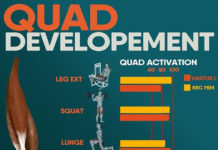 QUAD DEVELOPEMENT | GUIDE