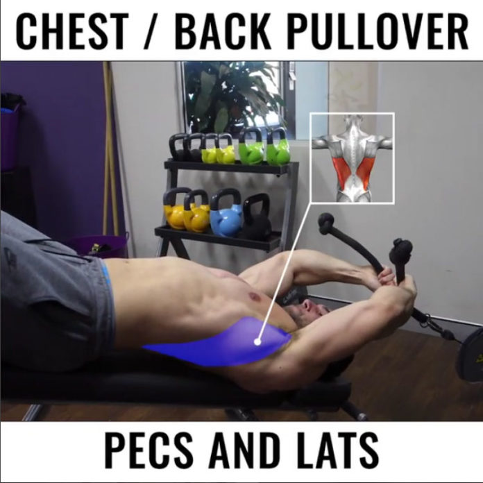 CHEST / BACK PULLOVER VIDEO & GUIDE
