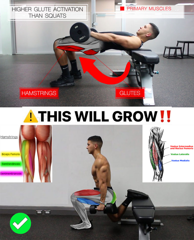 🔥Weighted Hip Thrusts & Bulgarian Split Squats