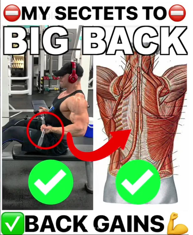 🔥MY TOP 3 Secrets to Back Gains