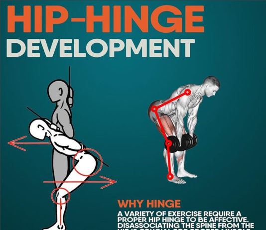 HIP-HINGE DEVELOPMENT | GUIDE
