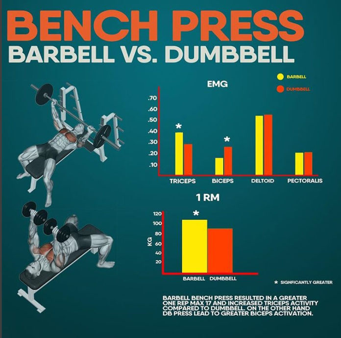 BENCH PRESS BARBELL & DUMBBELL GUIDE