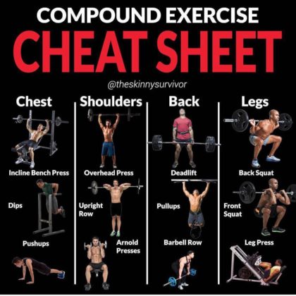 COMPOUND & ISOLATION EXERCISE CHEAT SHEET | GUIDE