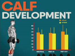 CALF DEVELOPMENT | GUIDE