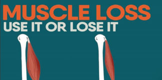 🔥 MUSCLE LOSS | GUIDE