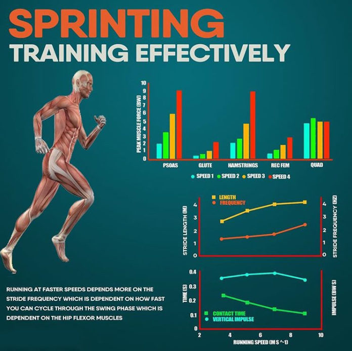 SPRINTING TRAINING EFFECTIVETY GUIDE