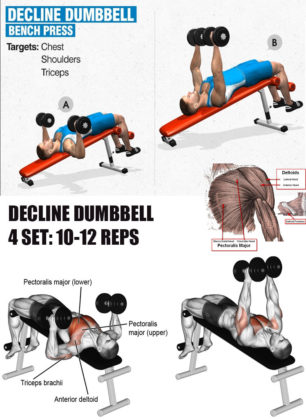 3 BEST EXERCISE FOR CHEST | GUIDE