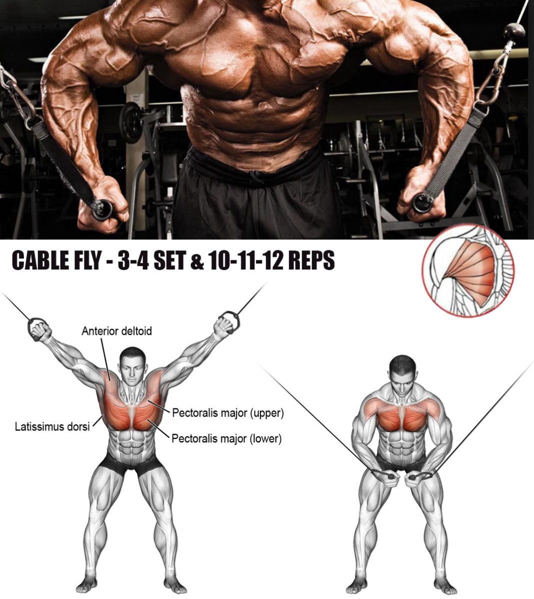 3 BEST EXERCISE FOR CHEST GUIDE