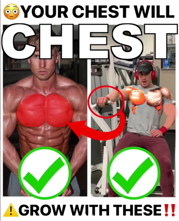 Chest Will GROW