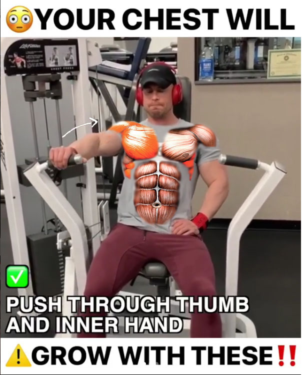 Isolated Chest Press