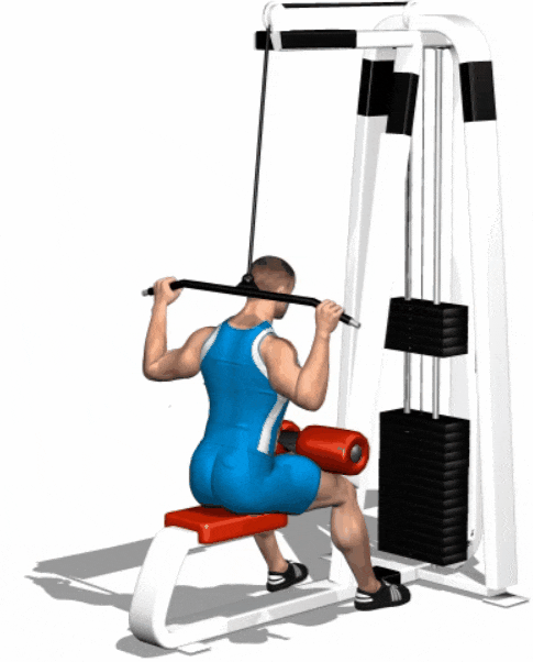 WIDE GRIP PULLDOWN BEHIND THE NECK