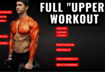 FULL "UPPER" WORKOUT