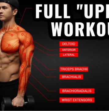 FULL "UPPER" WORKOUT