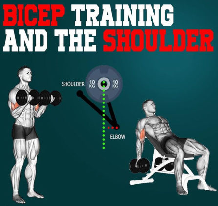 Shoulders & Bicep Curl