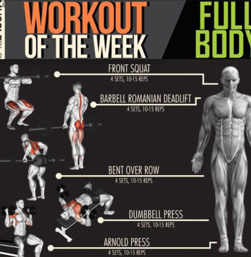 FULL BODY WORKOUT ON WEEK | GUIDE