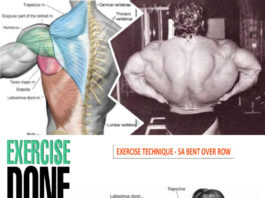 🚨4 Best Ways to Row