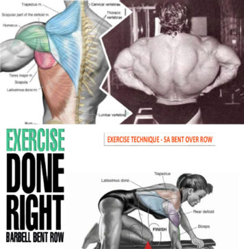 🚨4 Best Ways to Row