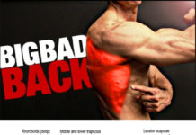 🚨WORKOUT REAR CHAIN