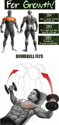 INTRASET STRETCHING DUMBBELL FLYS